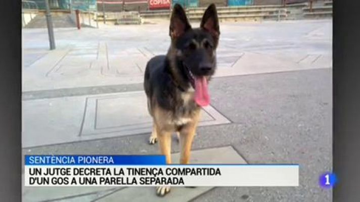 L'Informatiu - L'Informatiu - 21/03/18