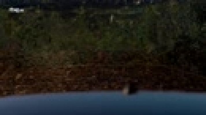 Cuéntame cómo pasó - Marcos lleva a Inés a su rincón favorito de Barcelona