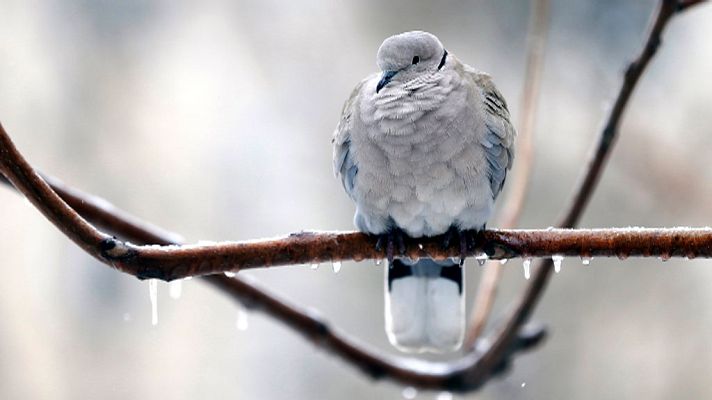 El tiempo - Las temperaturas continuarán mañana "anormalmente" bajas en España