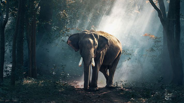 Grandes documentales - La India oculta: Tierra de contrastes