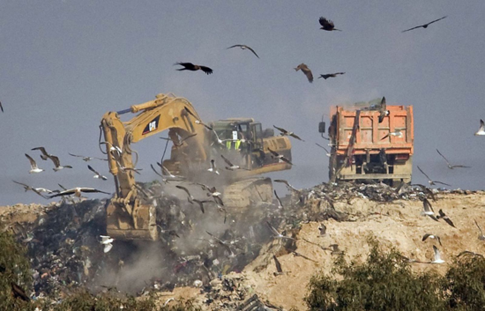 En el vertedero de Alcalá de Guadaíra en Sevilla. El Delegado del Gobierno espera tener alguna pista en tres días. El vertedero mide 100 hectáreas. 
