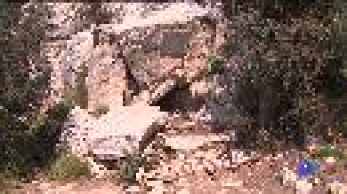 El  Consell de Mallorca regularà l'accés a la coneguda com a Cova de Ramon Llull 