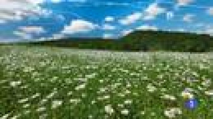 TeleCantabria - El tiempo en Cantabria - 22/03/18