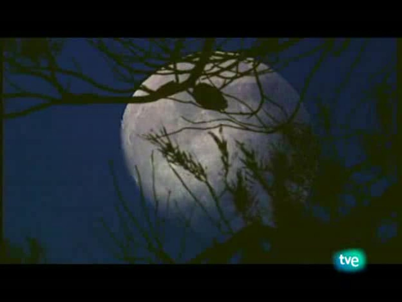 Jara y sedal - Los secretos de la trucha - Jara y sedal | Ver