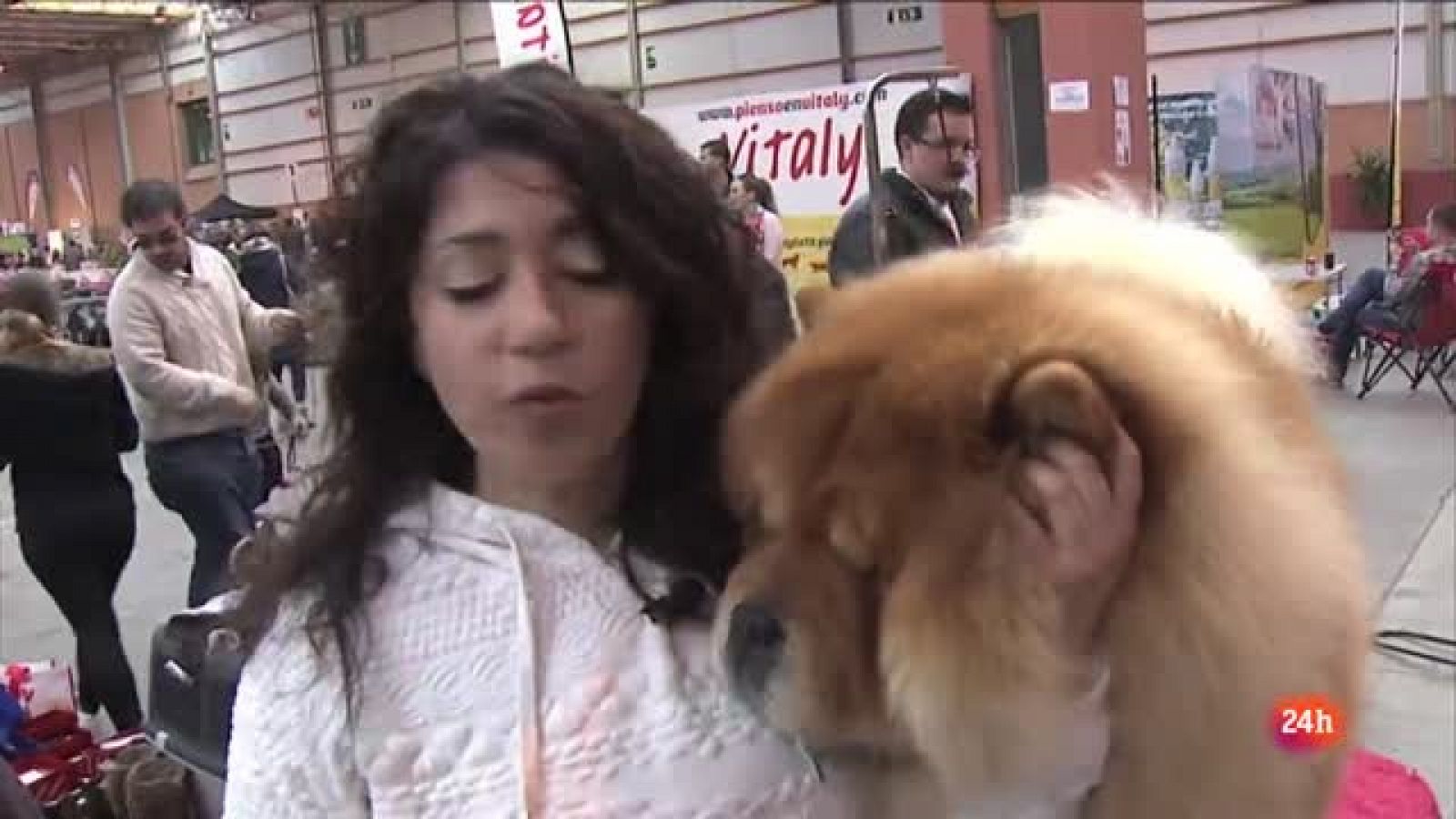 Núria se dedica a la crianza de perros de pura raza y concursa con ellos a nivel internacional.