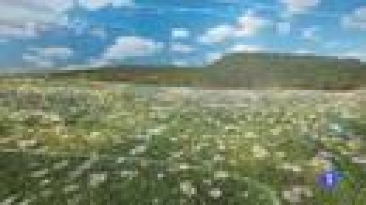 TeleCantabria - El tiempo en Cantabria - 23/03/18