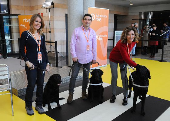 Perros guía en RTVE