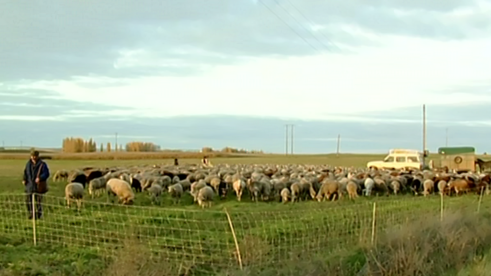Espacios naturales "Huellas Trashumantes" - La Cañada de las Merinas - ver ahora