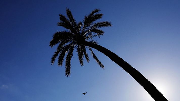 Las temperaturas suben de forma generalizada menos en las Canarias        