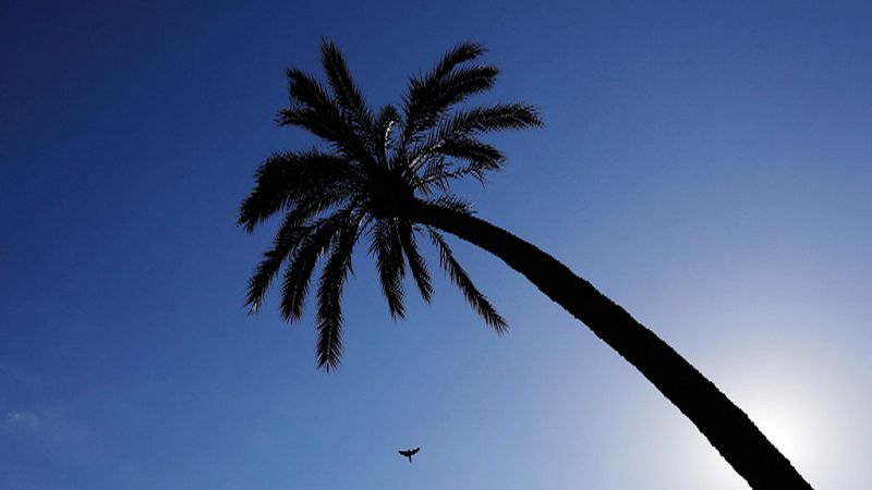 Las temperaturas suben de forma generalizada menos en las Canarias