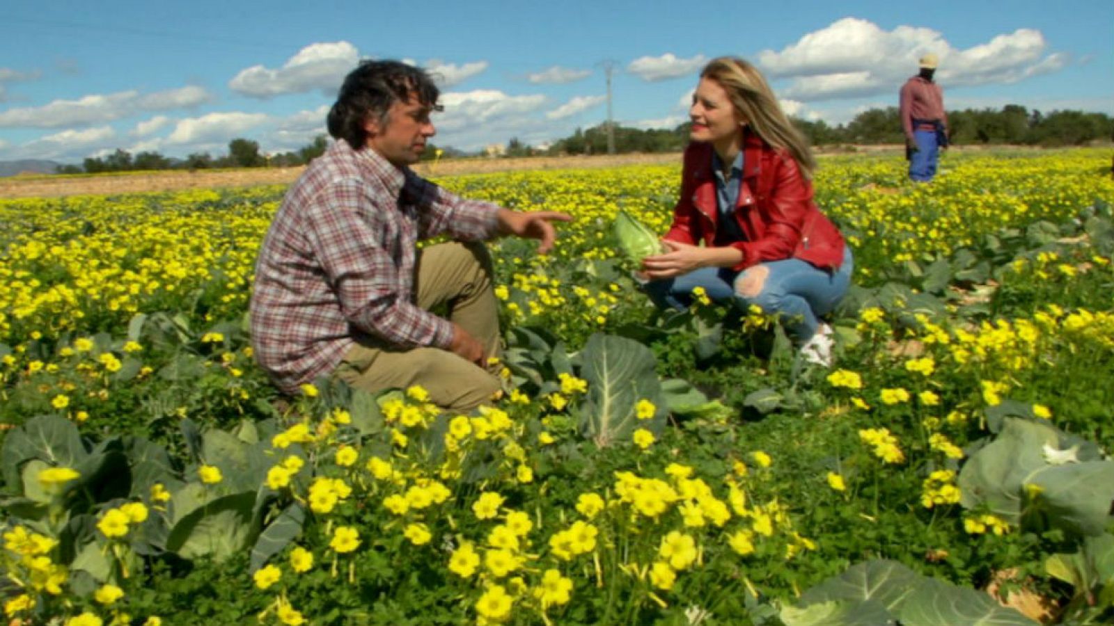 Huerta valenciana, mucho más que cítricos