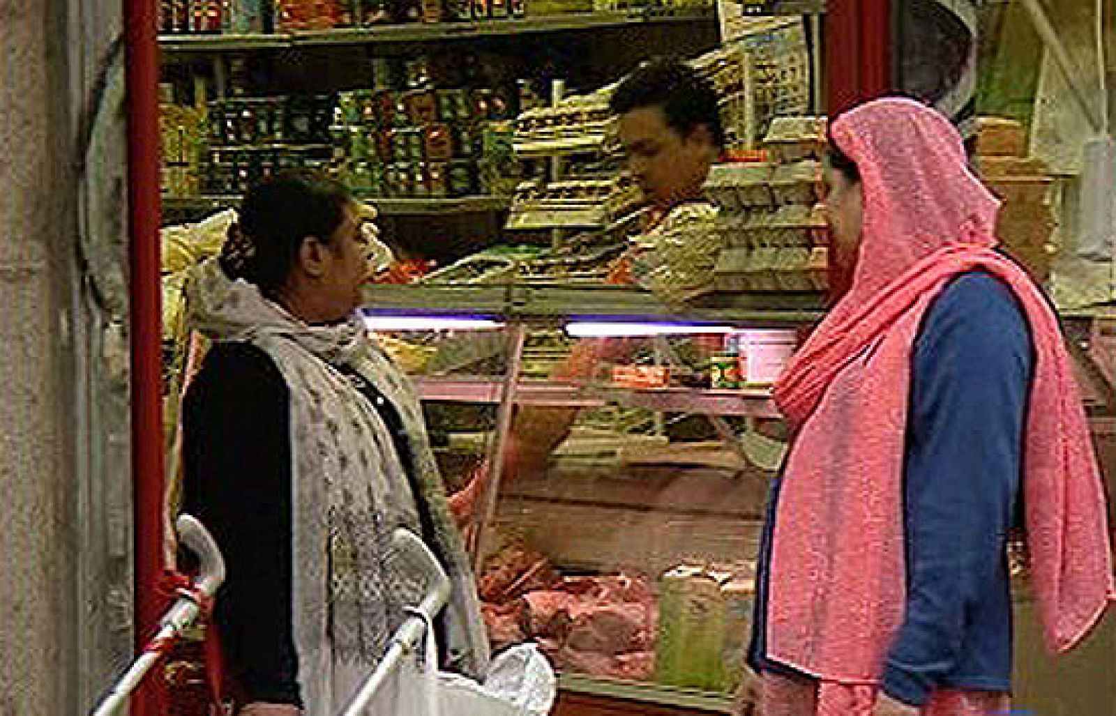 Día mundial contra el Racismo | Ver