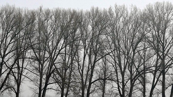 Aumento de temperaturas generalizado en península y este de Canarias 