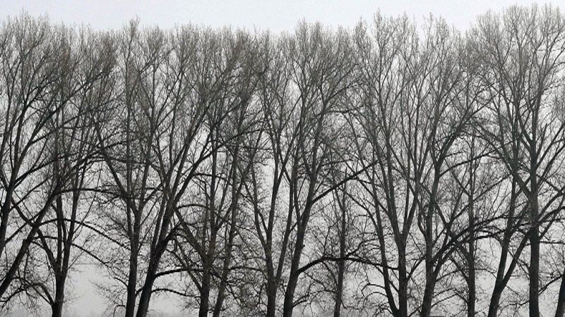 Aumento de temperaturas generalizado en península y este de Canarias