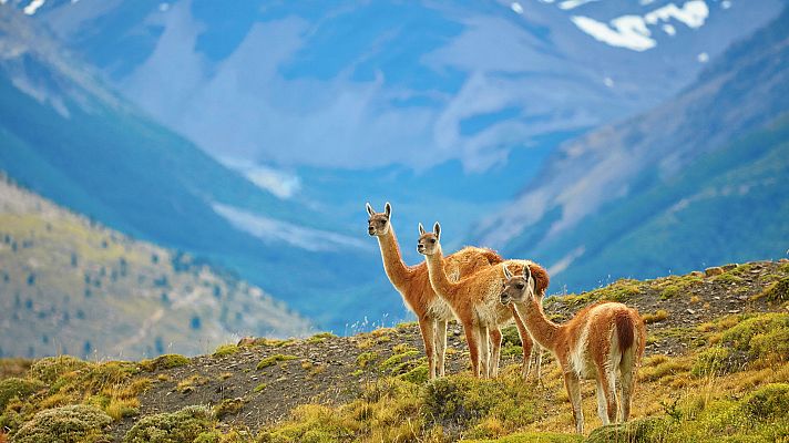 Patagonia salvaje: Montañas de fuego