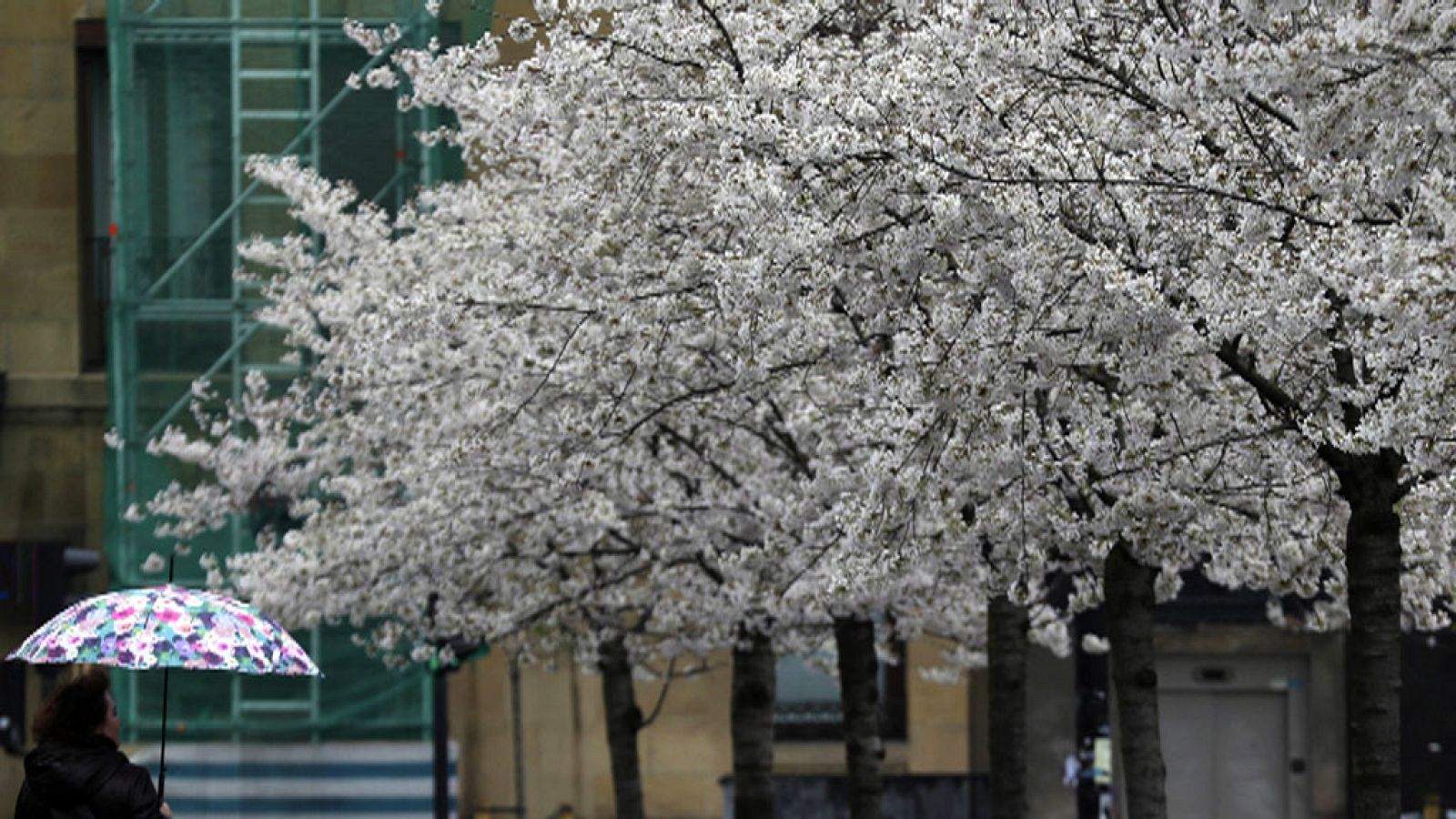 El tiempo: El cielo estará nuboso con precipitaciones en el norte | RTVE Play