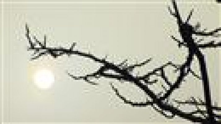 Telecanarias - Telecanarias - 28/03/2018