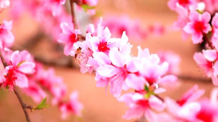 La 2 Noticias - La 2 Noticias - 28/03/18