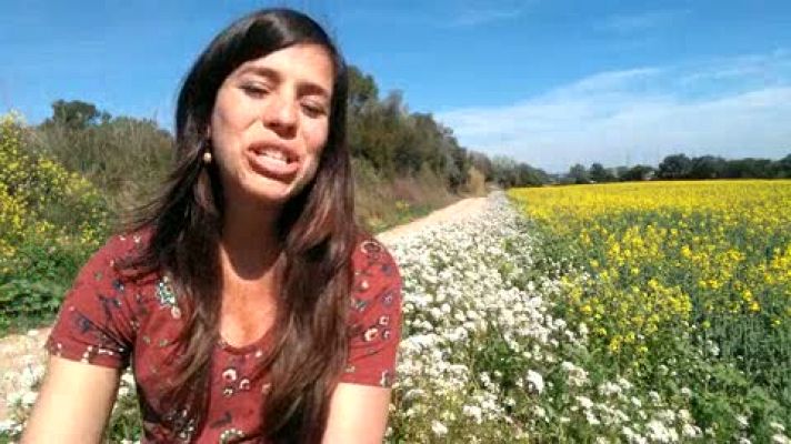 ¡Qué animal! - ¡Qué animal! recorre esta semana las Fragas do Eume, el bosque atlántico costero más importante de Europa