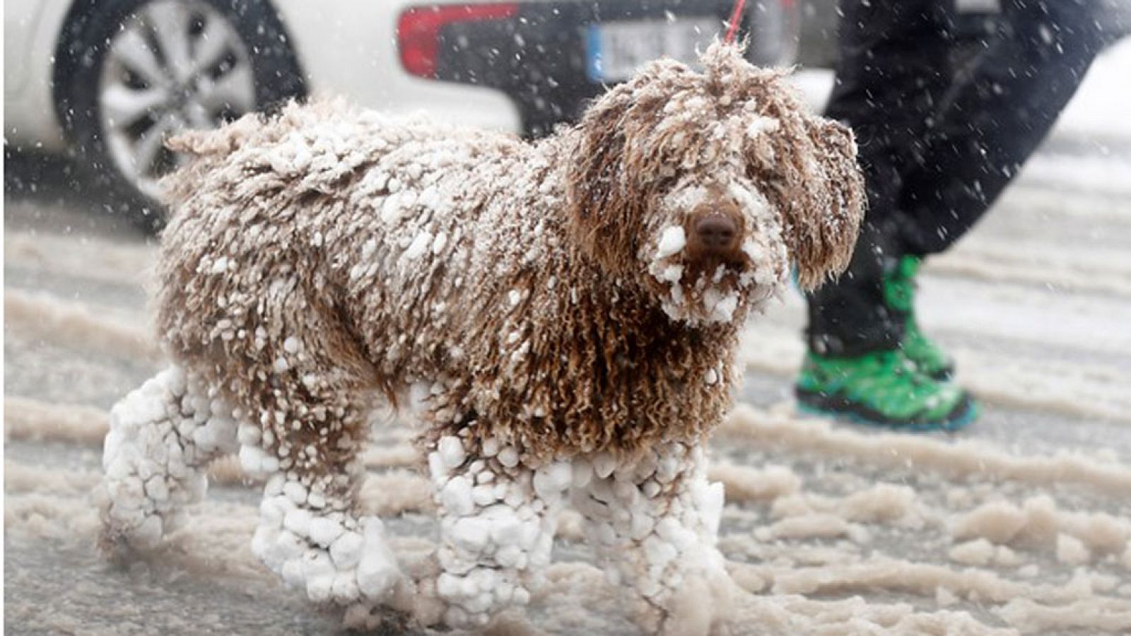 El tiempo: Nieve en áreas de montaña del norte y este peninsular  | RTVE Play