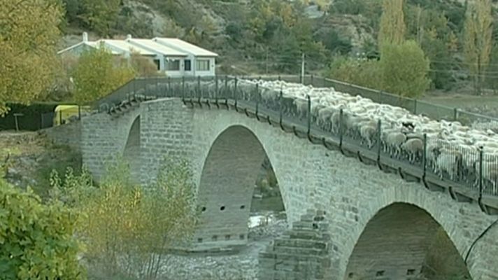 Espacios naturales - La Cabañera del Pirineo aragonés