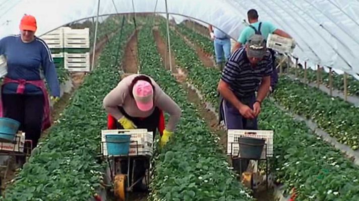 Medina en TVE - La agricultura sostenible del Islam