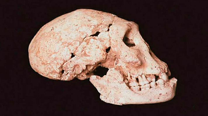 Documaster - La España prehistórica. Primera parte