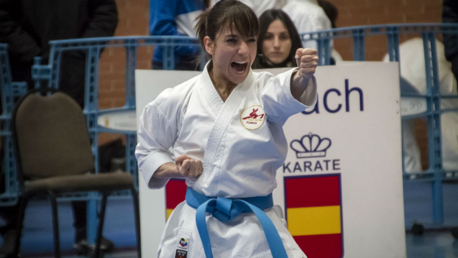 Campeonato de España Absoluto de Kárate. 24 y 25 de marzo 2018