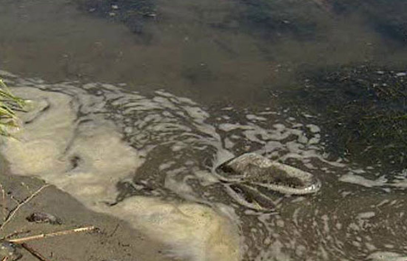 Los ríos, grandes olvidados | Ver