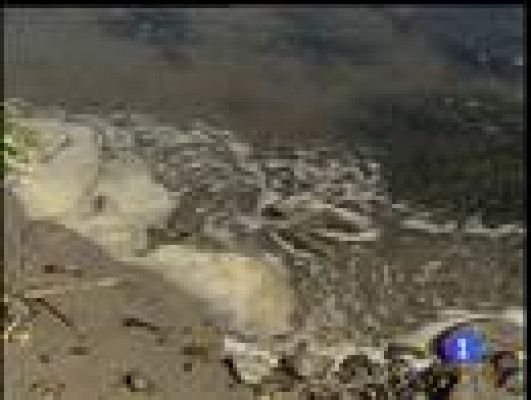  - Los ríos, grandes olvidados