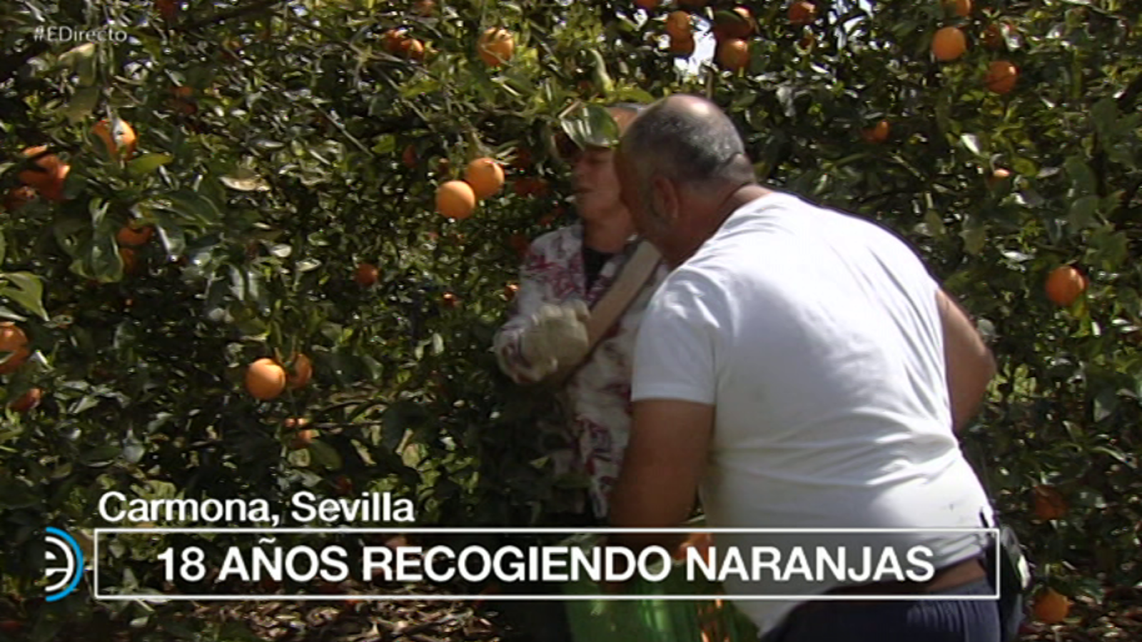 España Directo - 02/04/18  - ver ahora