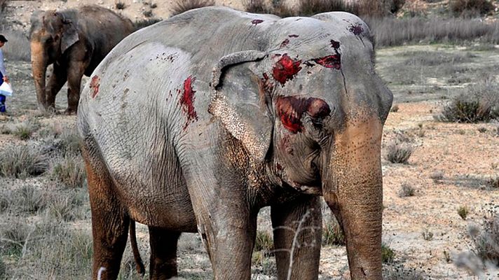 Telediario 1 - Telediario 2 en 4' - 02/04/18