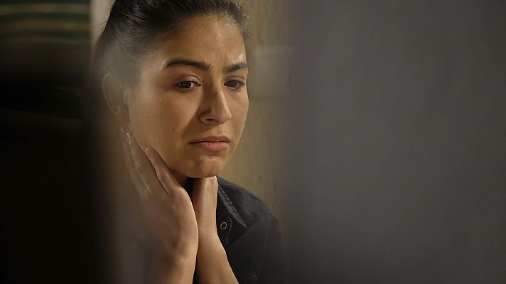 Servir y proteger - Episodio 232