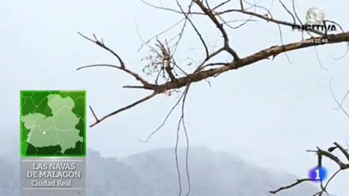 Aquí la Tierra - Un humedal de origen volcánico en La Mancha