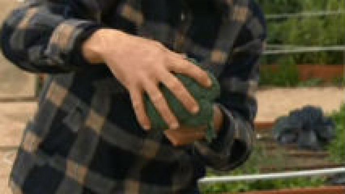 Aquí la Tierra - ¡Brócoli en la huerta!