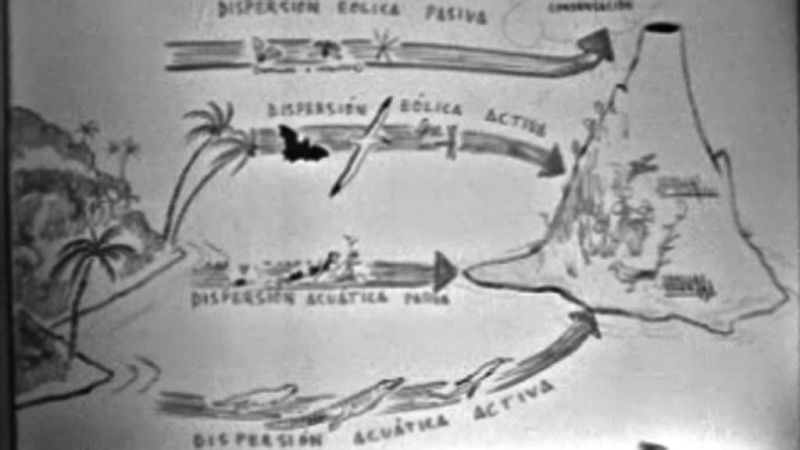 El planeta azul - Las islas Gal�pagos (I)