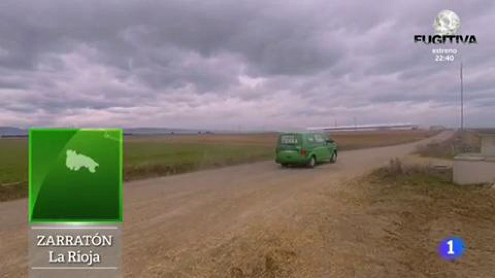 Tomate de siempre, cultivo de ahora