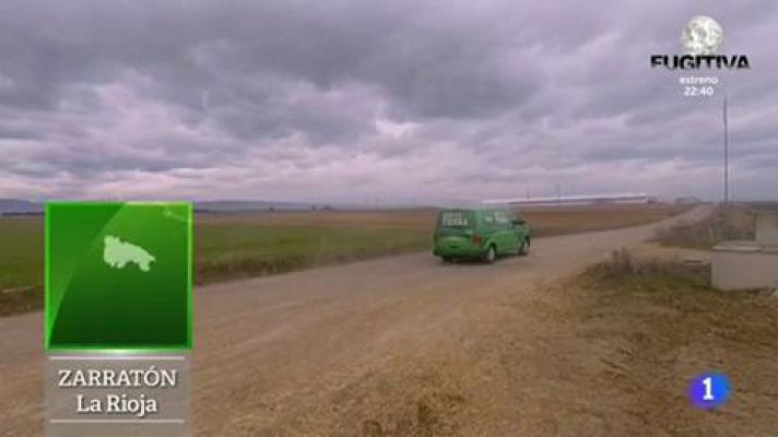 Aquí la Tierra - Tomate de siempre, cultivo de ahora