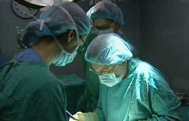 Con todos los acentos - Inmigrantes y trasplantes