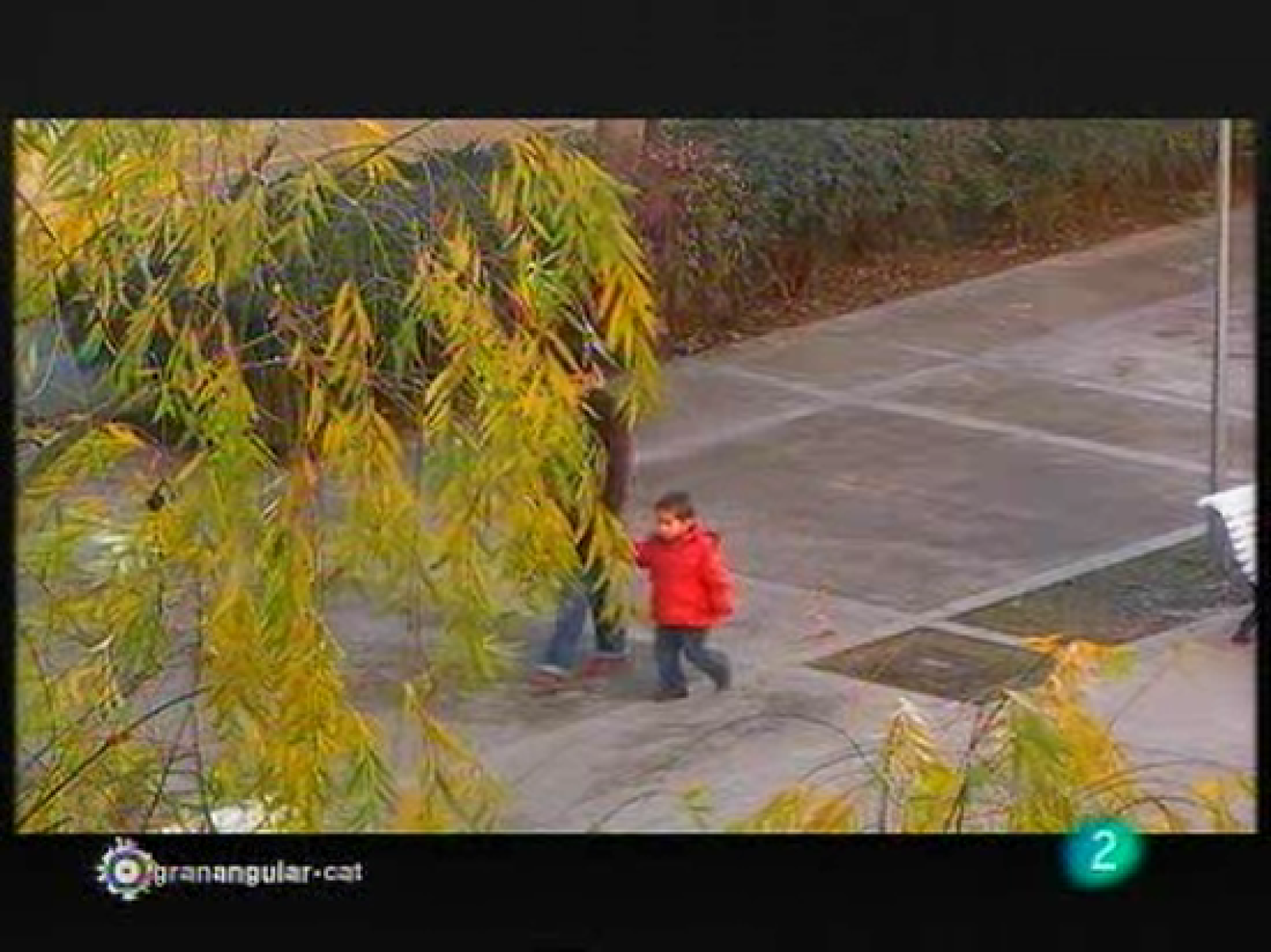 Gran Angular: 'Volem fer de pares'