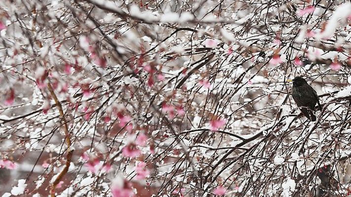 Informativo de Madrid - El Tiempo en la Comunidad de Madrid - 06/04/18