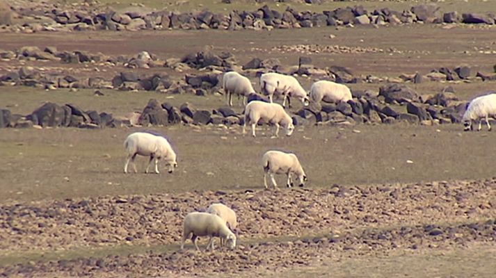 Agrosfera - Agrosfera - 07/04/18 (424)