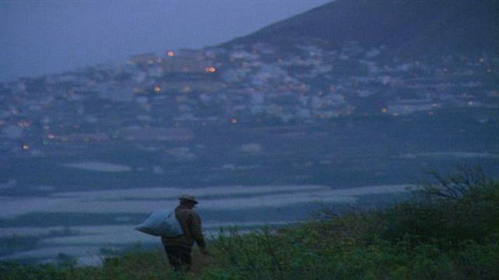 Senderos isleños - Hierberos