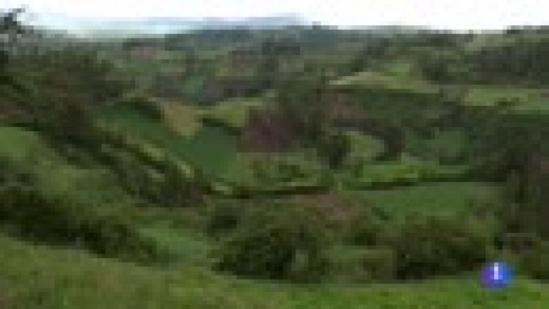 Un grupo de campesinos transforma en fértiles unas tierras baldías en Colombia