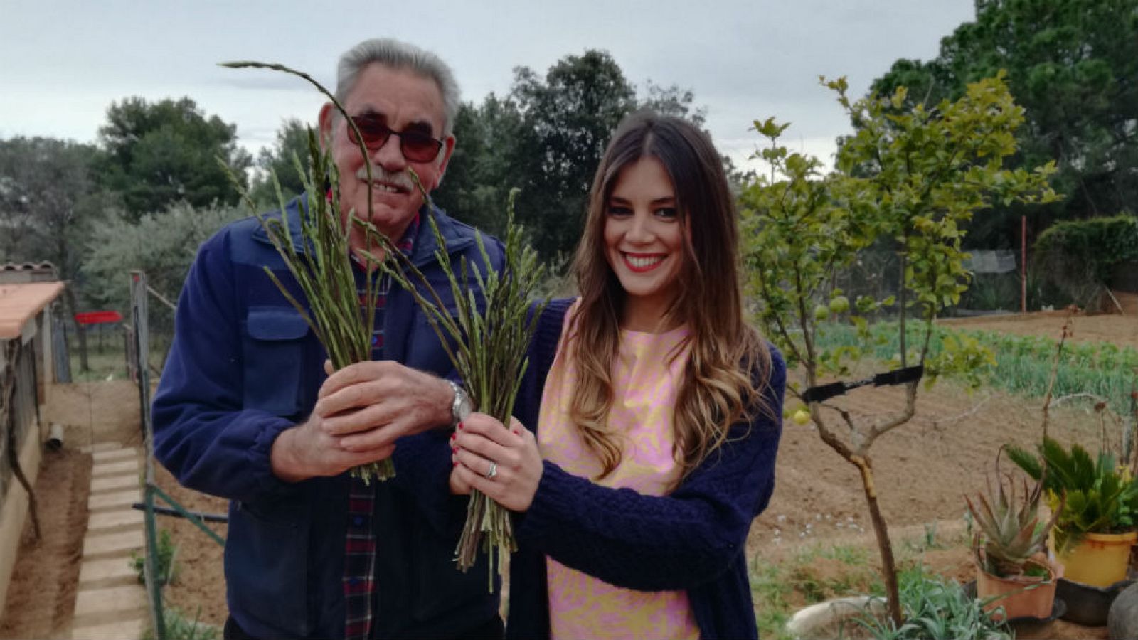 ¡A coger espárragos!