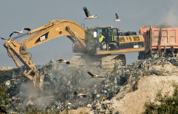 Se reanuda la búsqueda de Marta