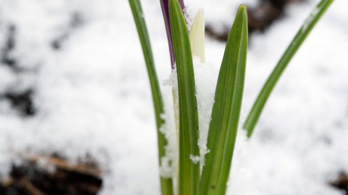 El tiempo - Nevadas en zonas de montaña de la mitad norte peninsular. Rachas de viento muy fuertes en zonas de Canarias