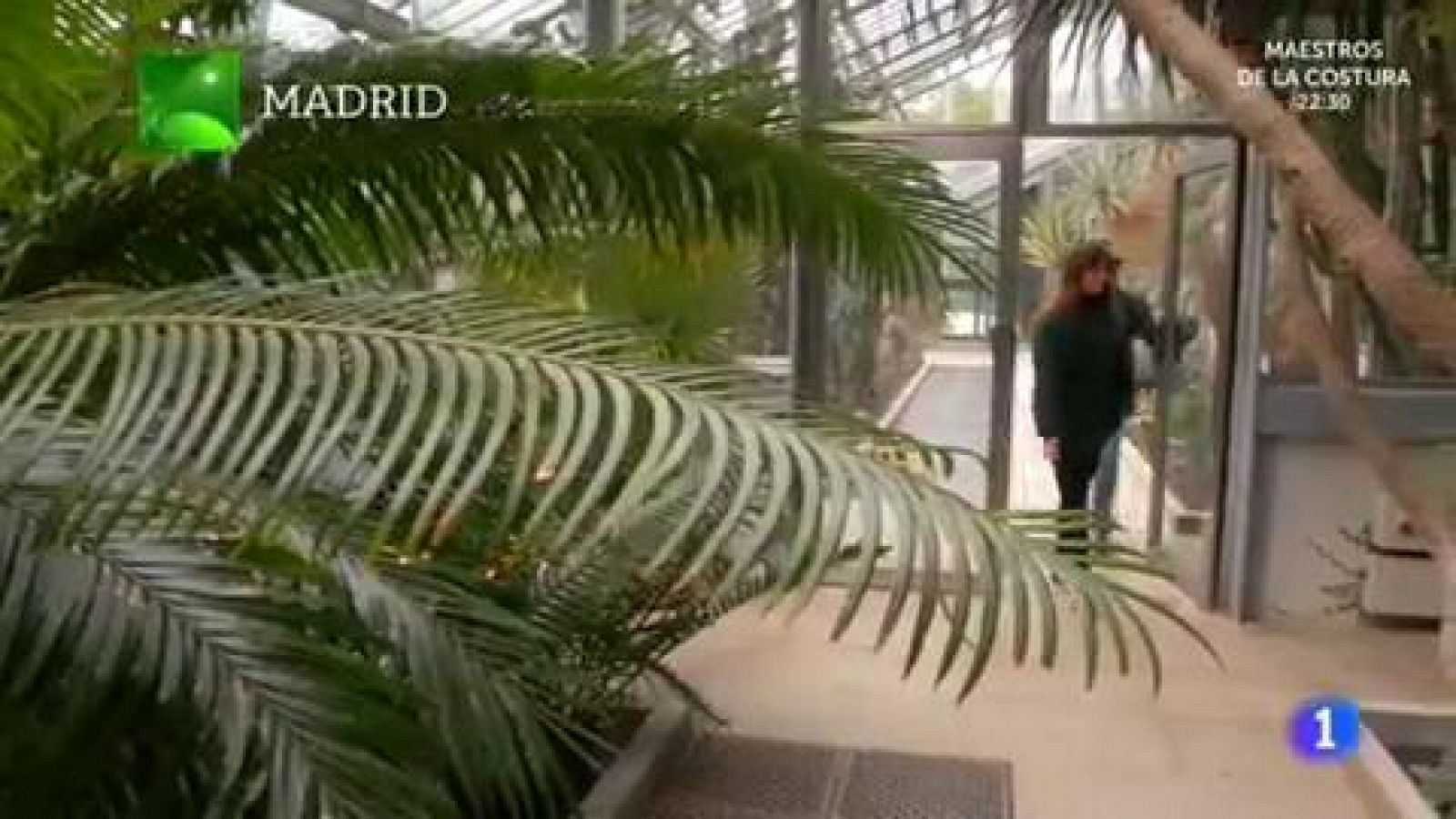 Jardín botánico de Madrid: plantas antiguas
