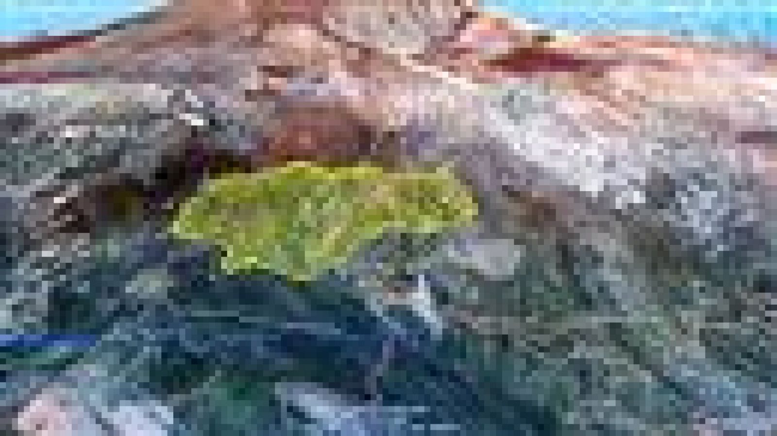 Telecanarias - 10/04/2018