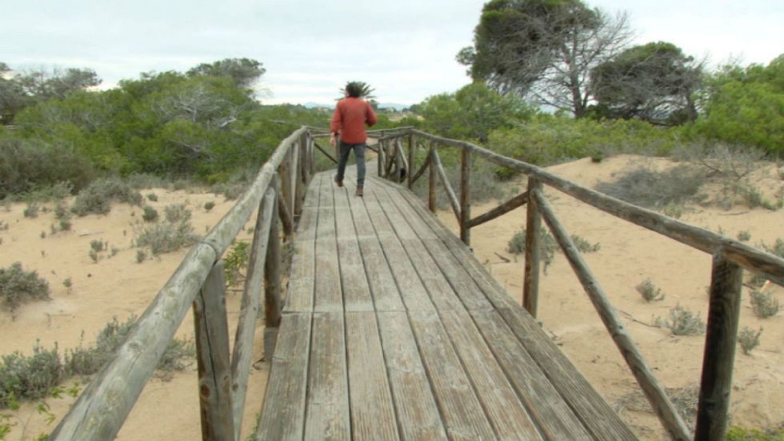 El Pinet, reserva botánica